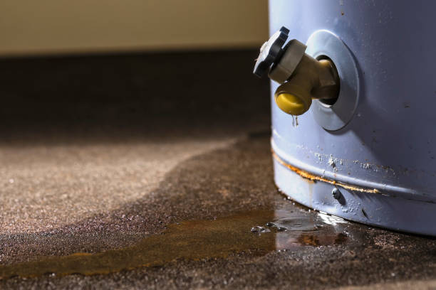 Best Sewage cleanup and water damage restoration  in Marks, MS