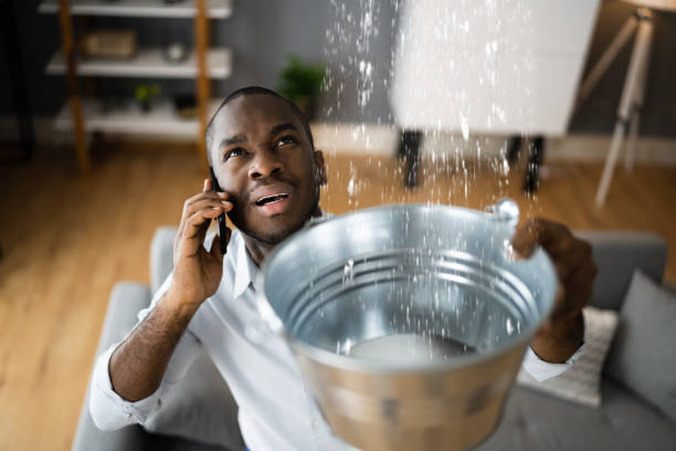 Best Emergency water extraction  in Marks, MS