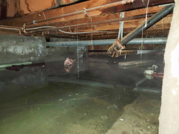 Water damage restoration mold remediation in Marks, MS