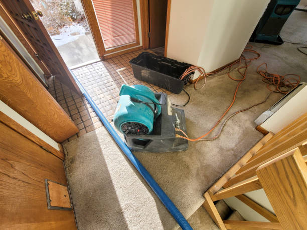 Professional Water damage restoration in Marks, MS