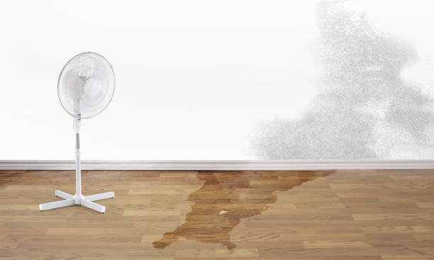 Best Commercial water damage restoration  in Marks, MS