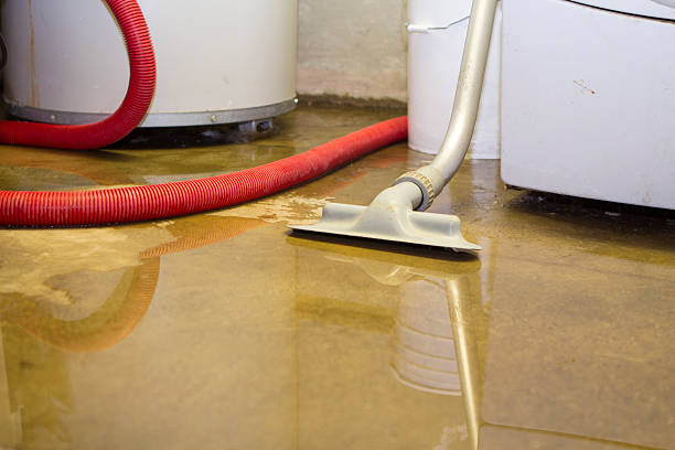Best Water damage contractors near me  in Marks, MS