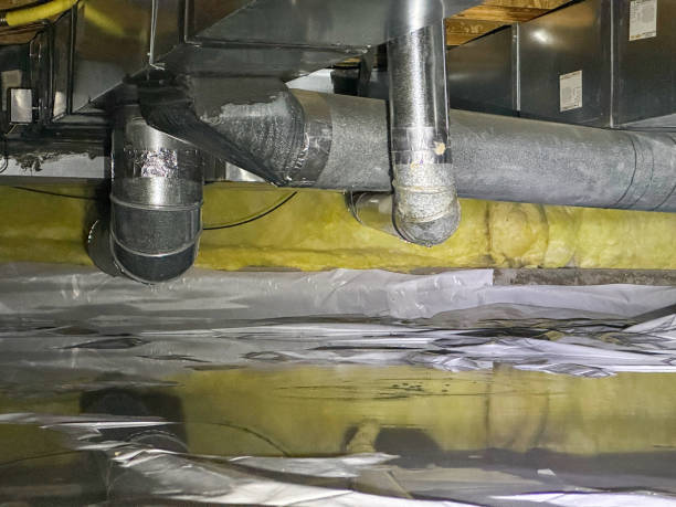 Best Mold removal after water damage  in Marks, MS