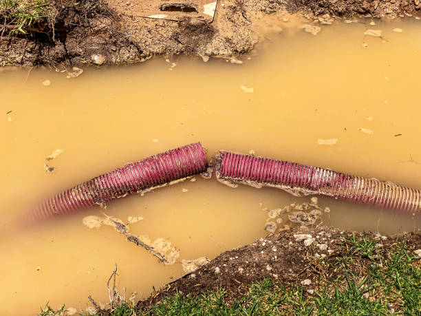 Best Professional water damage repair  in Marks, MS